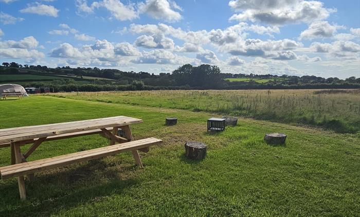 The non electric wild camping pitches are ideal for star gazing, with only a shower room in the field. Please bring a torch, as we have little lights